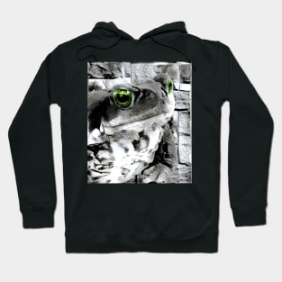 Frog Black and White Spray Paint Wall Hoodie